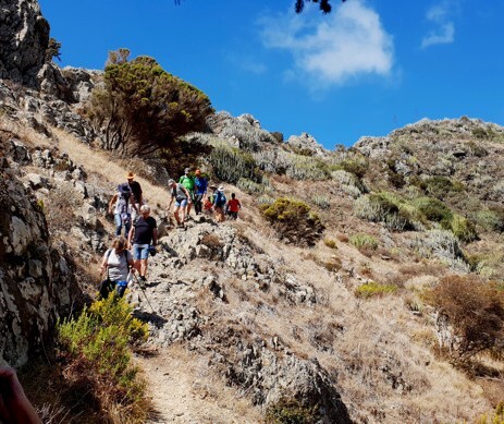 Blick in die Schlucht
