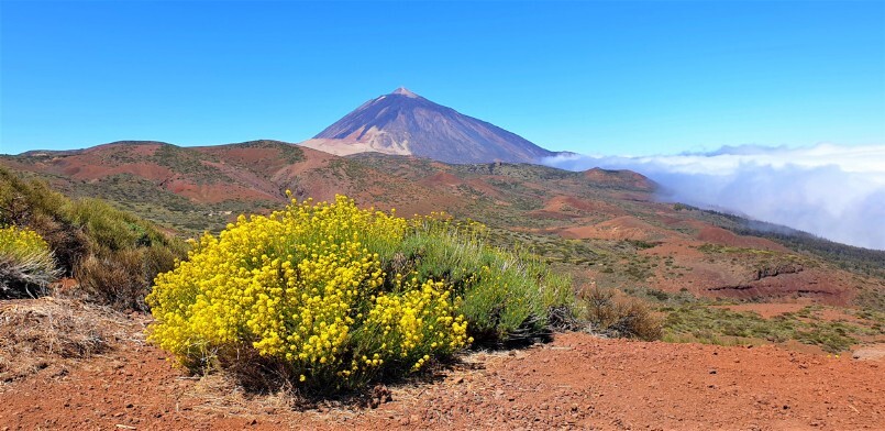 blick auf den Teide