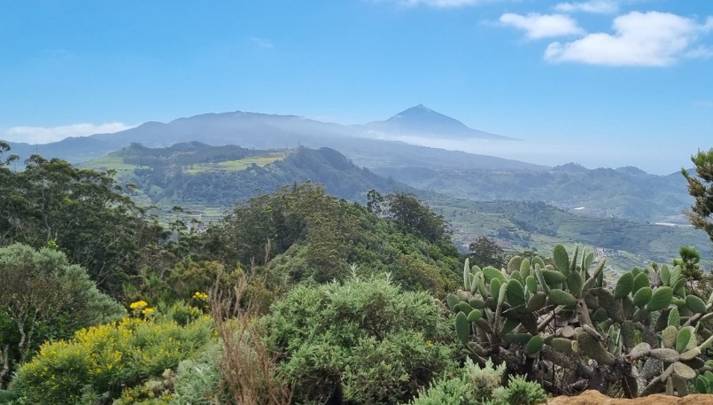 Blik auf den Teide