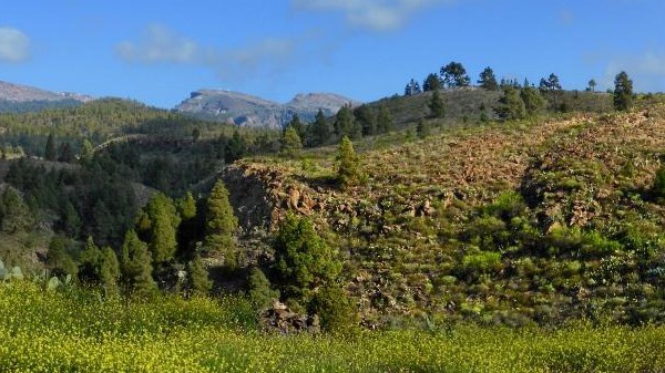 Südseite Teneriffa