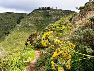 Richtung Tafelberg