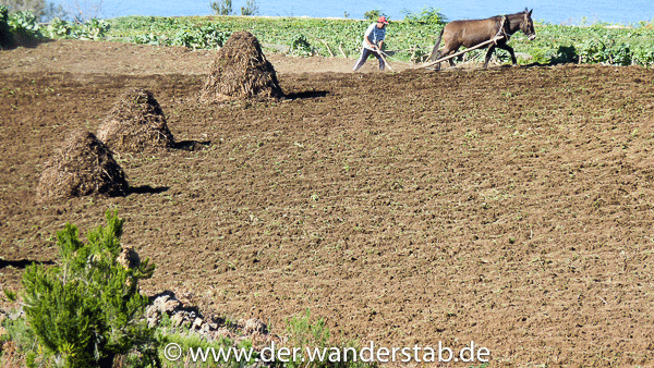 Landwirt