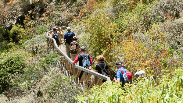 Gruppe in der Schlucht